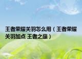 王者榮耀關(guān)羽怎么用（王者榮耀關(guān)羽加點(diǎn) 王者之巔）