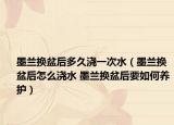 墨蘭換盆后多久澆一次水（墨蘭換盆后怎么澆水 墨蘭換盆后要如何養(yǎng)護）