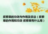 蒺藜草的功效與作用及禁忌（蒺藜草的作用和功效 蒺藜草有什么用）