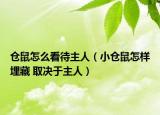倉(cāng)鼠怎么看待主人（小倉(cāng)鼠怎樣埋藏 取決于主人）