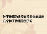 種子傳播的途徑有很多你能舉出幾個(gè)種子傳播的例子嗎