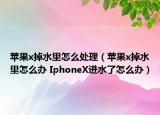 蘋果x掉水里怎么處理（蘋果x掉水里怎么辦 IphoneX進水了怎么辦）