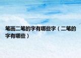 筆畫(huà)二筆的字有哪些字（二筆的字有哪些）