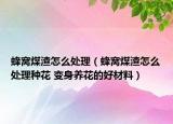 蜂窩煤渣怎么處理（蜂窩煤渣怎么處理種花 變身養(yǎng)花的好材料）