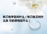 秋刀魚學名叫什么（秋刀魚又叫什么魚 它的食物是什么）