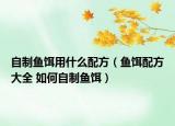 自制魚餌用什么配方（魚餌配方大全 如何自制魚餌）