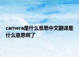 camera是什么意思中文翻譯是什么意思啊了