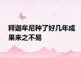 釋迦牟尼種了好幾年成果來(lái)之不易