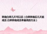 移栽白菜幾天可以活（白菜移栽后幾天能成活 白菜移栽成活率最高的方法）