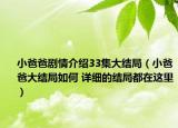 小爸爸劇情介紹33集大結(jié)局（小爸爸大結(jié)局如何 詳細(xì)的結(jié)局都在這里）