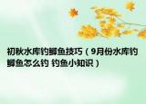 初秋水庫釣鯽魚技巧（9月份水庫釣鯽魚怎么釣 釣魚小知識(shí)）
