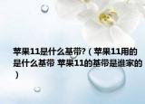 蘋果11是什么基帶?（蘋果11用的是什么基帶 蘋果11的基帶是誰家的）