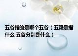 五谷指的是哪個五谷（五穀是指什么 五谷分別是什么）