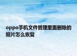 oppo手機(jī)文件管理里面刪除的照片怎么恢復(fù)
