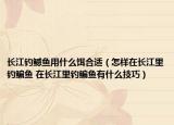 長江釣鳡魚用什么餌合適（怎樣在長江里釣鳊魚 在長江里釣鳊魚有什么技巧）