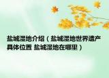 鹽城濕地介紹（鹽城濕地世界遺產(chǎn)具體位置 鹽城濕地在哪里）