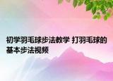 初學(xué)羽毛球步法教學(xué) 打羽毛球的基本步法視頻
