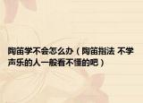 陶笛學不會怎么辦（陶笛指法 不學聲樂的人一般看不懂的吧）