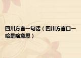 四川方言一句話（四川方言口一哈是啥意思）
