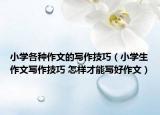 小學(xué)各種作文的寫作技巧（小學(xué)生作文寫作技巧 怎樣才能寫好作文）