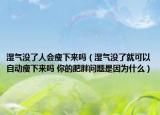 濕氣沒了人會瘦下來嗎（濕氣沒了就可以自動瘦下來嗎 你的肥胖問題是因為什么）