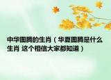 中華圖騰的生肖（華夏圖騰是什么生肖 這個(gè)相信大家都知道）