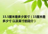 15.5厘米是多少英寸（15厘米是多少寸 以及英寸的簡(jiǎn)介）