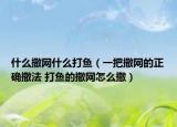 什么撒網(wǎng)什么打魚（一把撒網(wǎng)的正確撒法 打魚的撒網(wǎng)怎么撒）