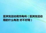 亞洲龍混動(dòng)用充電嗎（亞洲龍混動(dòng)用的什么電池 好不好用）