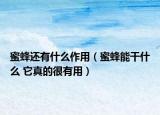 蜜蜂還有什么作用（蜜蜂能干什么 它真的很有用）