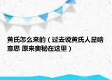 黃氏怎么來的（過去說黃氏人是啥意思 原來奧秘在這里）