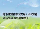 地下城寵物怎么交易（dnf寵物怎么交易 怎么賣寵物）