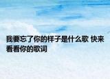 我要忘了你的樣子是什么歌 快來(lái)看看你的歌詞