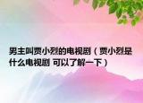 男主叫賈小烈的電視?。ㄙZ小烈是什么電視劇 可以了解一下）