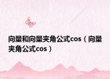 向量和向量夾角公式cos（向量夾角公式cos）
