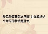 夢見種菜是怎么回事 為你解析這個常見的夢境是什么