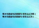 啄木鳥是益鳥還是害鳥 你怎么認為呢（啄木鳥是益鳥還是害鳥 你怎么認為）