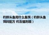 釣胖頭魚用什么魚餌（釣胖頭魚餌料配方 釣友福利哦）