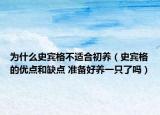 為什么史賓格不適合初養(yǎng)（史賓格的優(yōu)點和缺點 準備好養(yǎng)一只了嗎）