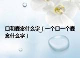 口和麥念什么字（一個口一個麥念什么字）