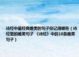 詩(shī)經(jīng)中最經(jīng)典唯美的句子你記得哪些（詩(shī)經(jīng)里的唯美句子 《詩(shī)經(jīng)》中的10條唯美句子）