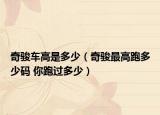 奇駿車高是多少（奇駿最高跑多少碼 你跑過多少）