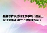 墨蘭怎樣換盆和注意事項（墨蘭上盆注意事項 墨蘭上盆操作方法）