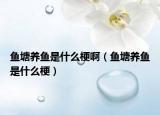 魚塘養(yǎng)魚是什么梗?。~塘養(yǎng)魚是什么梗）
