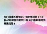 懷舊服部落40級(jí)后升級(jí)路線聯(lián)盟（懷舊服42級(jí)部落去哪里升級(jí) 懷舊服42級(jí)部落升級(jí)流程）