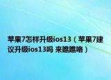 蘋果7怎樣升級ios13（蘋果7建議升級ios13嗎 來瞧瞧咯）