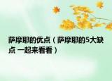 薩摩耶的優(yōu)點（薩摩耶的5大缺點 一起來看看）