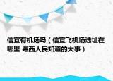 信宜有機(jī)場(chǎng)嗎（信宜飛機(jī)場(chǎng)選址在哪里 粵西人民知道的大事）