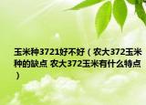 玉米種3721好不好（農(nóng)大372玉米種的缺點 農(nóng)大372玉米有什么特點）