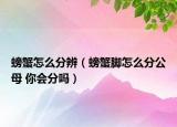 螃蟹怎么分辨（螃蟹腳怎么分公母 你會(huì)分嗎）